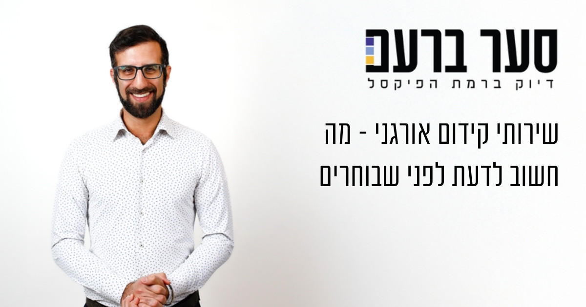 שירותי קידום אורגני