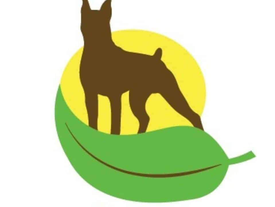 טבעי לכלב